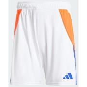 Adidas Tiro 24 træningsshorts